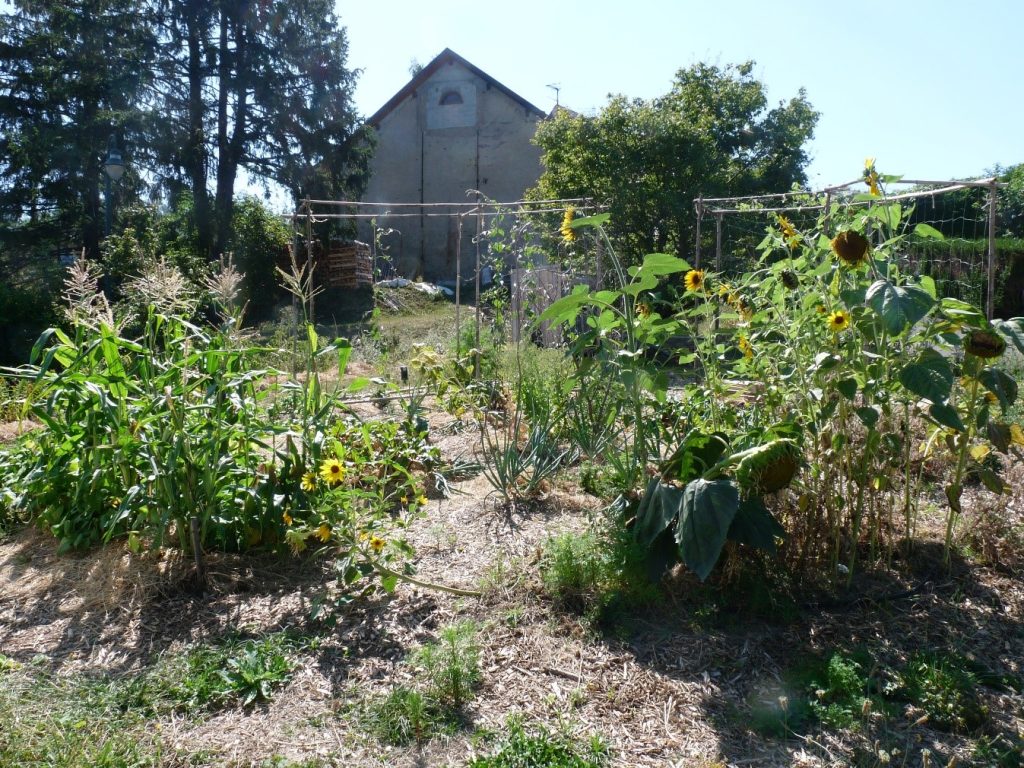 mandala août 2023 Ateliers Kaléido Permaculture