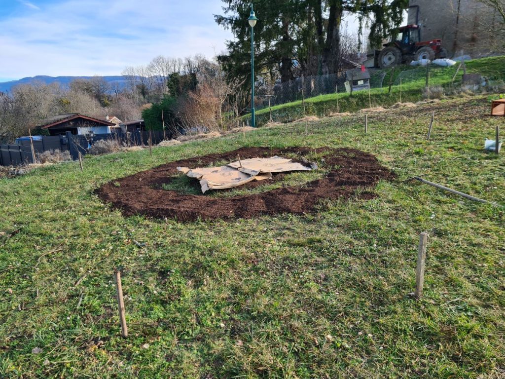 pelouse devient mandala