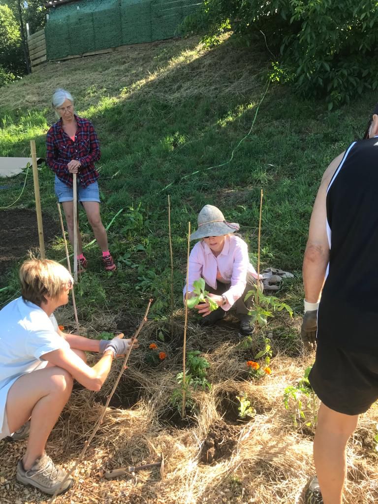 jardin partagé lucinges atelier kaleido