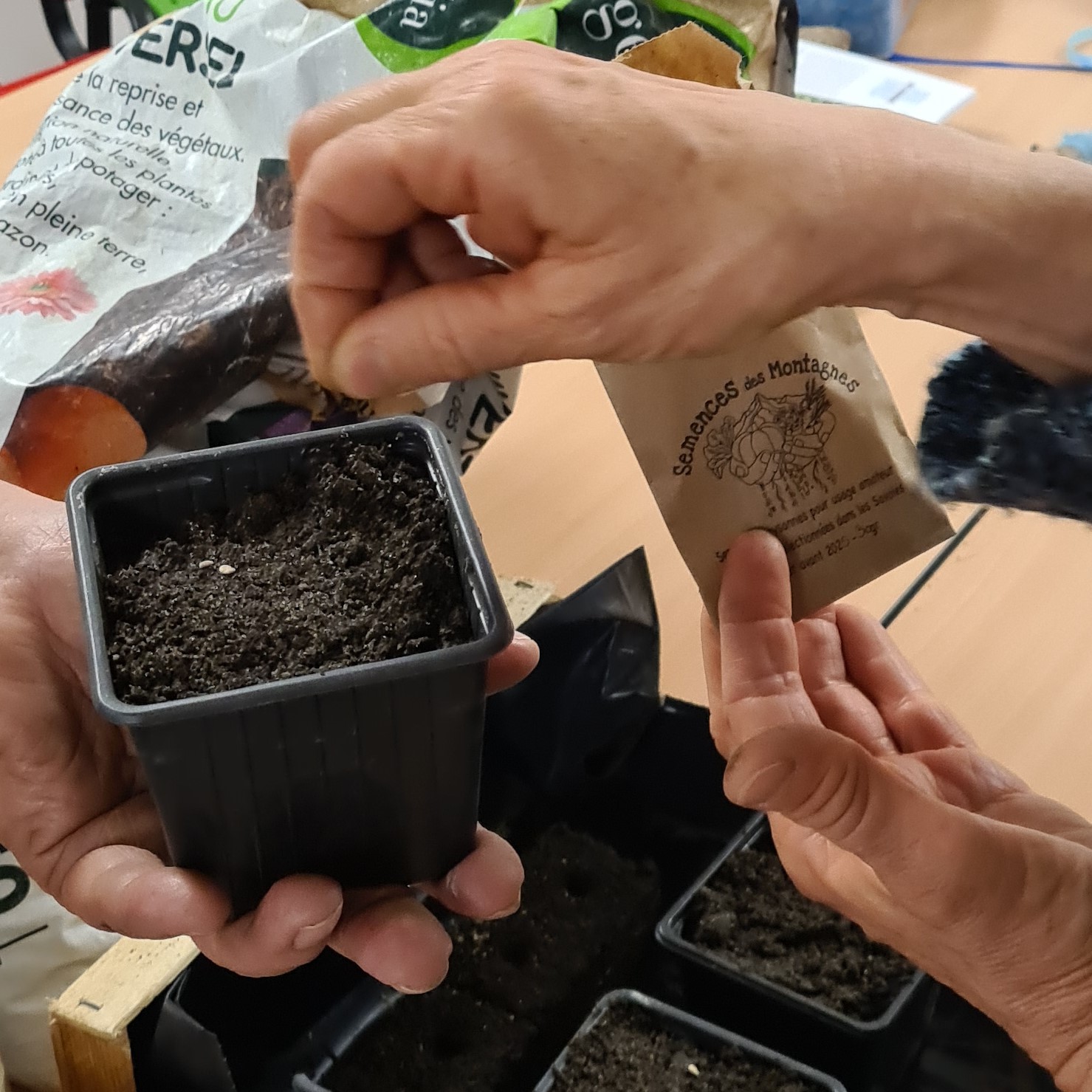 atelier semis Ateliers Kaléido